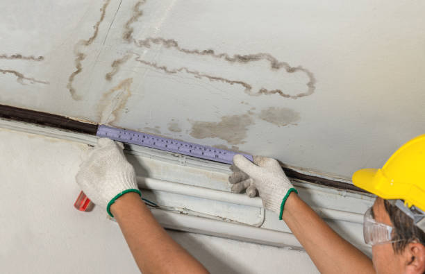 Reliable Burst Pipe Cleanup contractor in Longmont, CO by Local Water Damage Repair
